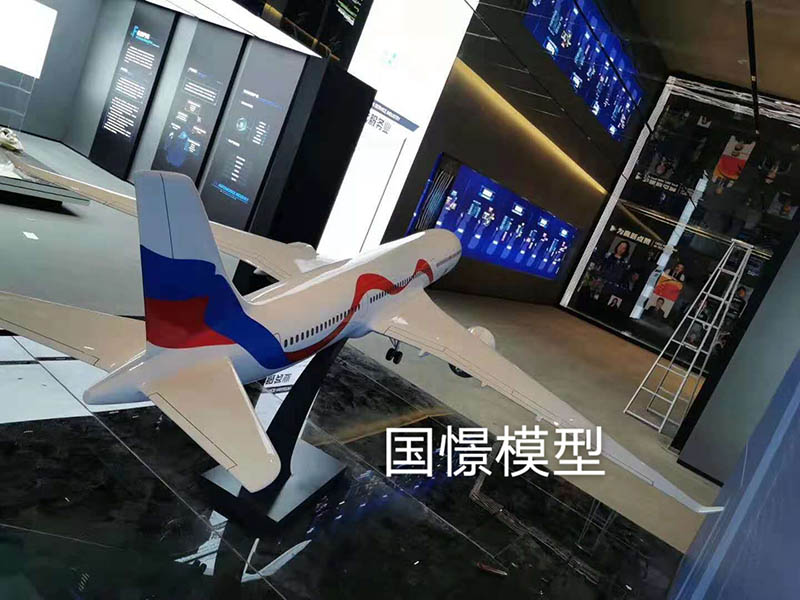 克东县飞机模型