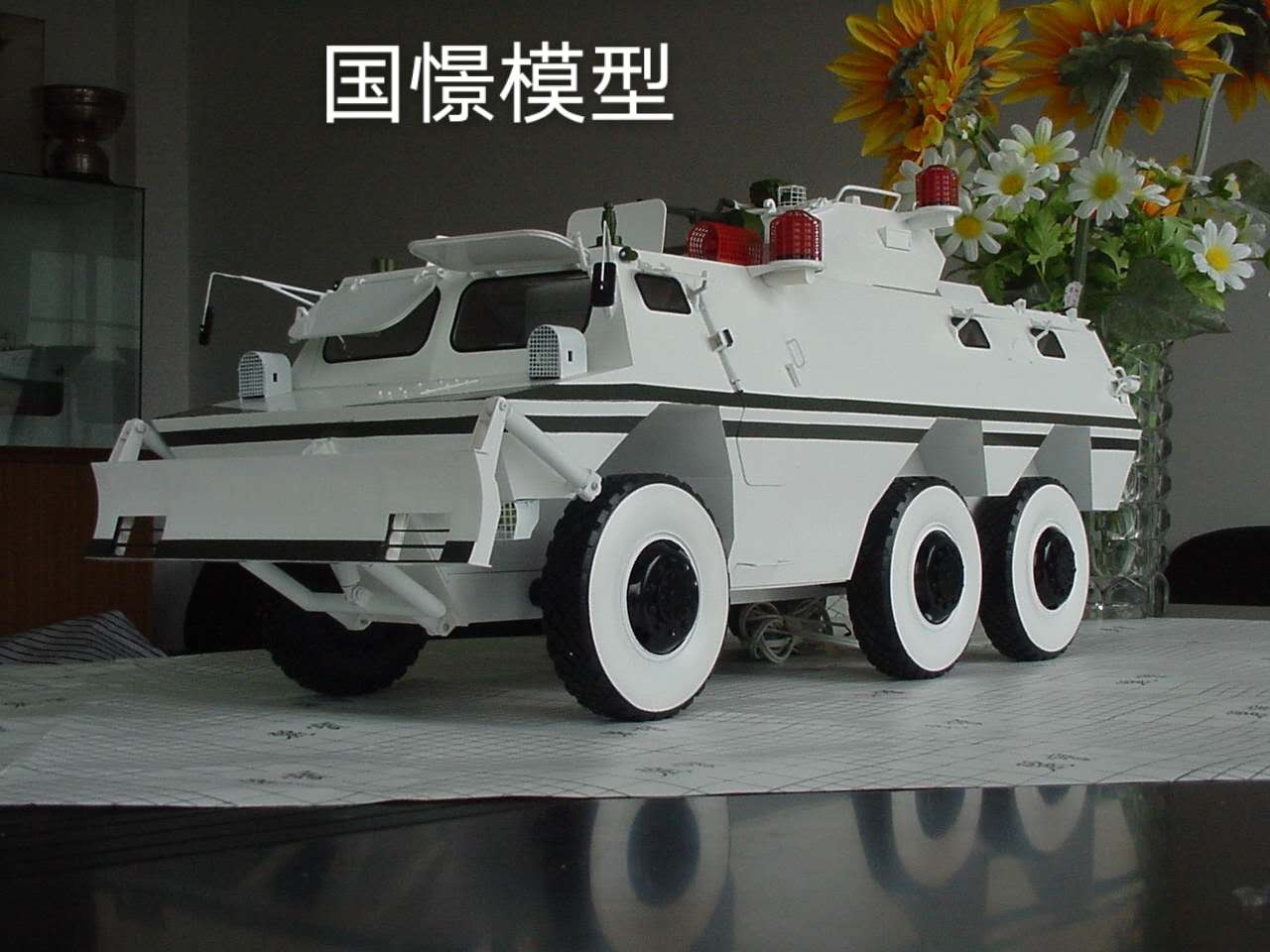 克东县军事模型